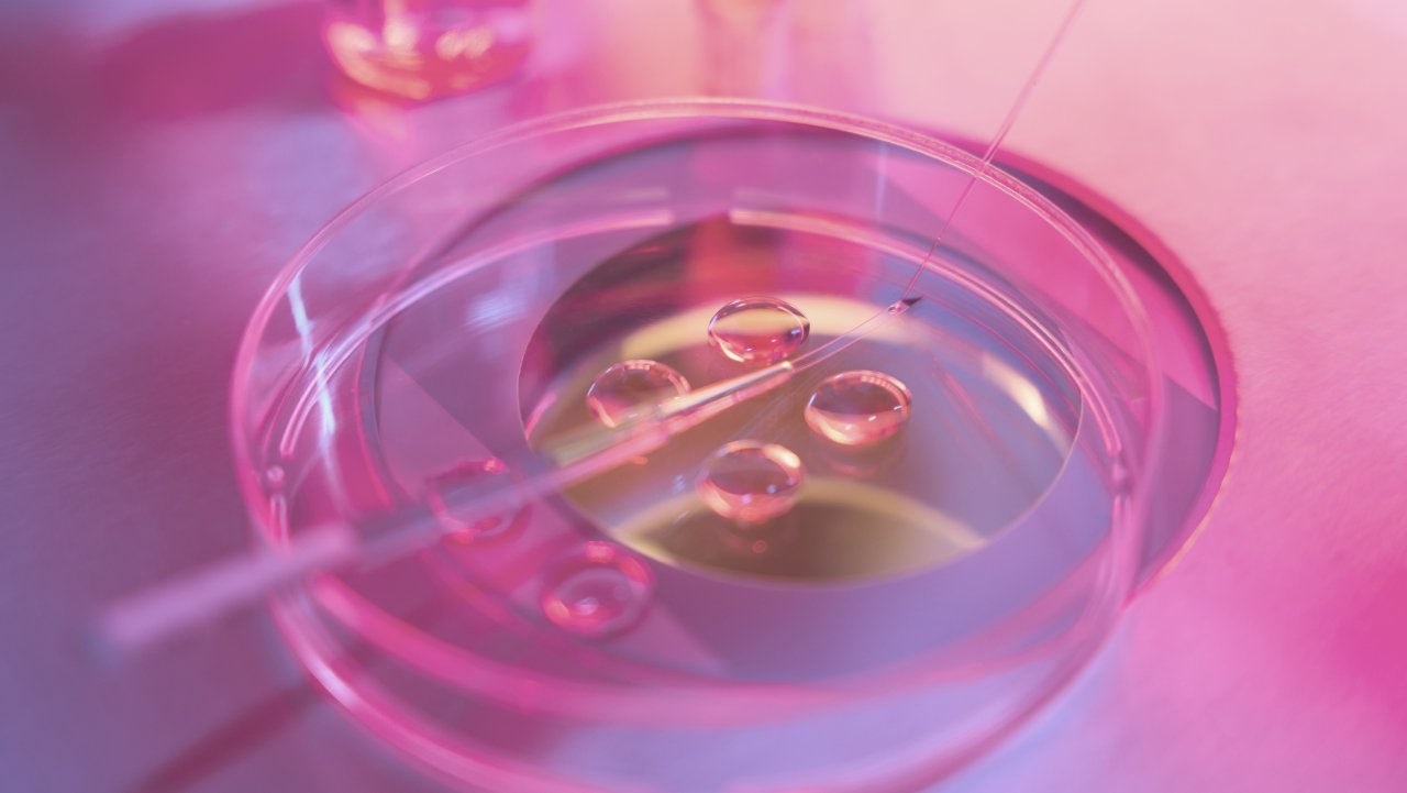 IVF Frozen Embryo Transfer (FET)