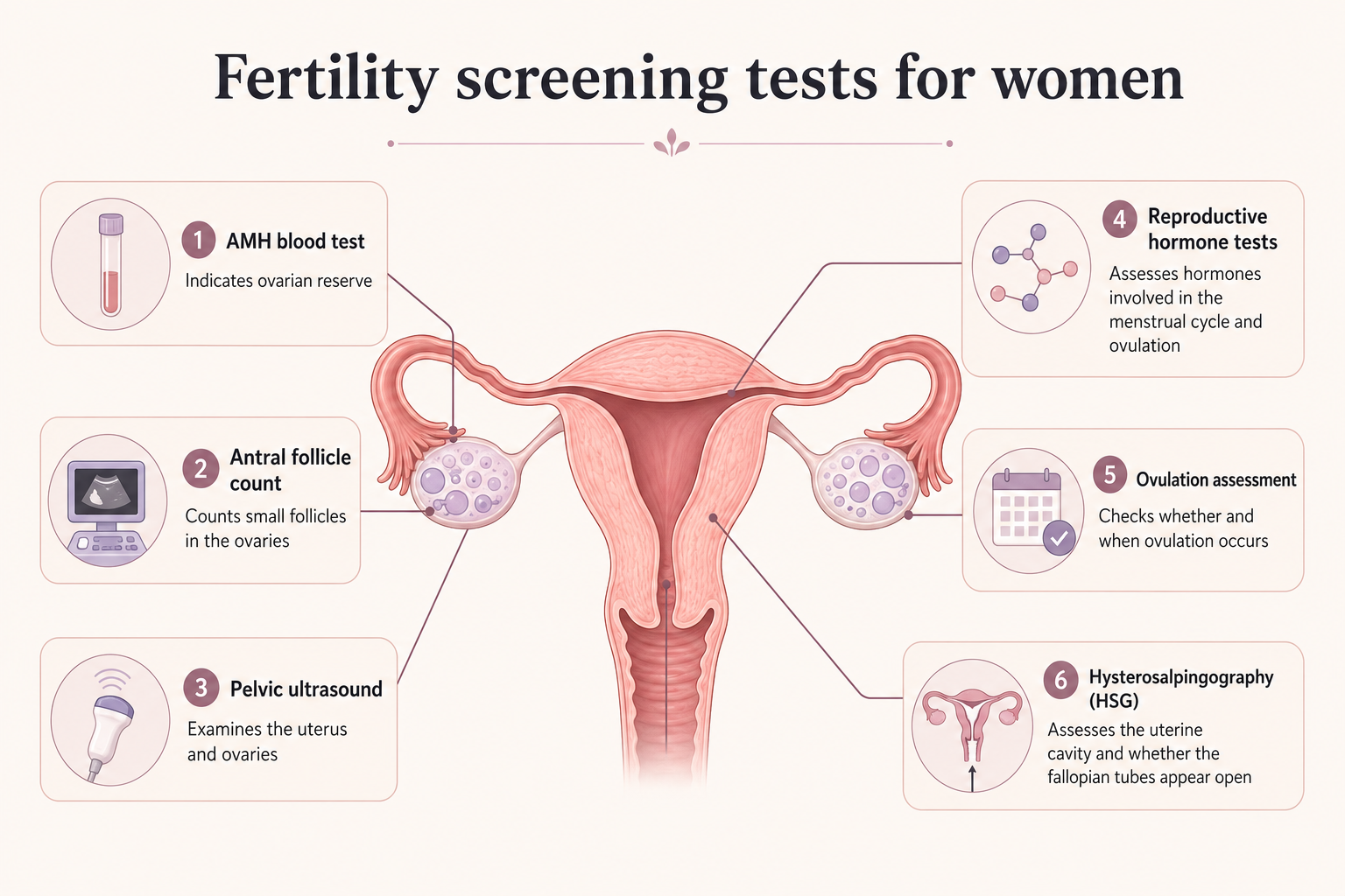 Infographic showing six fertility screening tests for women: AMH blood test, antral follicle count, pelvic ultrasound, reproductive hormone tests, ovulation assessment and hysterosalpingography.